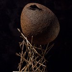 117-mattia-trotta-artista-scultore-opere-in-filo-metallico-di ferro-Ovoid-Devoid-prigione-vuota