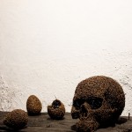 119-mattia-trotta-artista-scultore-opere-in-filo-metallico-di ferro-cerchio-perfetto