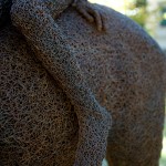 38-mattia-trotta-artista-sculture-filo-metallico-ferro-bronzo-alluminio-rame-fratelli-brothers-villa-fabbricotti-firenze