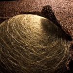 56-mattia-trotta-artista-sculture-filo-metallico-ferro-arte-sacra-magma-interiore