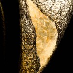 65-mattia-trotta-artista-sculture-filo-metallico-ferro-bronzo-alluminio-rame-metamorfosi